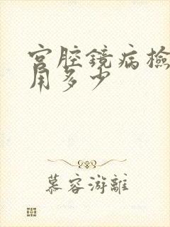 宫腔镜病检查费用多少