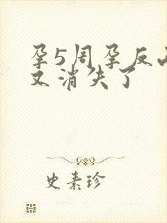 孕5周孕反两天又消失了