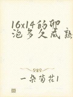 16x14的卵泡多久成熟