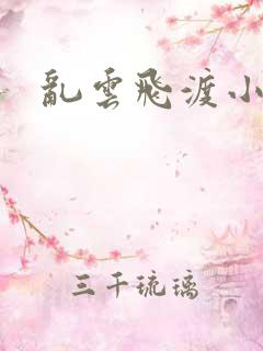 乱云飞渡小说