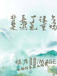 背长了很多痘痘是湿气重吗