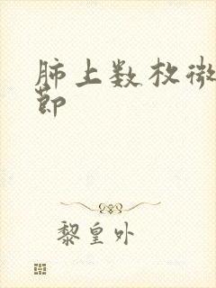 肺上数枚微小结节