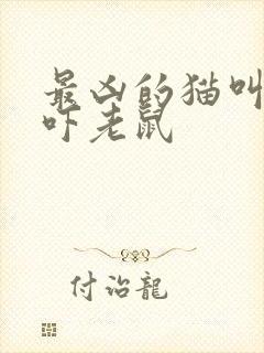 最凶的猫叫声音吓老鼠