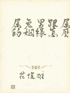 属兔男跟属鸡女的姻缘怎么样