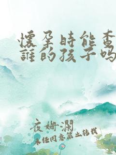 怀孕时能查出是谁的孩子吗