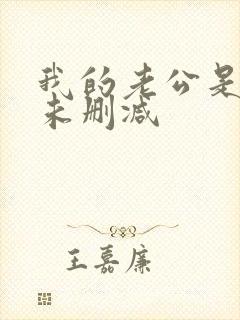 我的老公是冥王未删减