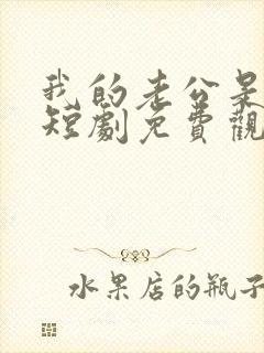 我的老公是总裁短剧免费观看全集