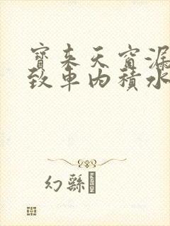 宝来天窗漏水导致车内积水怎么处理