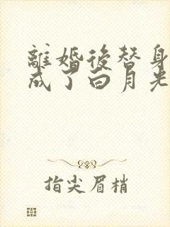 离婚后替身前妻成了白月光大结局