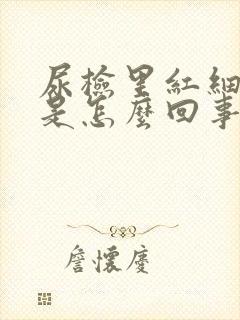 尿检里红细胞高是怎么回事