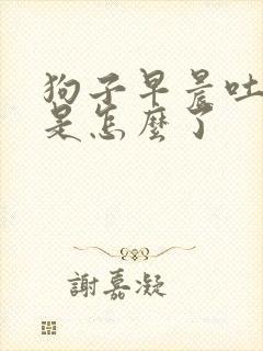 狗子早晨吐黄水是怎么了