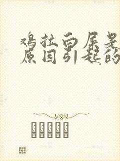 鸡拉白屎是什么原因引起的