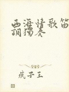 西海情歌笛子e调独奏