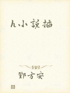 h小说插