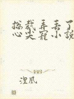 总裁弄丢了他的心尖宠小说