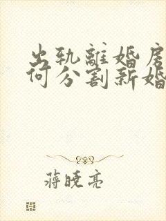 出轨离婚房子如何分割新婚姻法2023