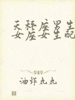 天秤座男生和处女座女生配对指数