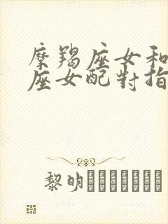 摩羯座女和处女座女配对指数