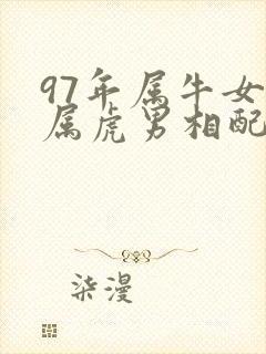 97年属牛女和属虎男相配吗