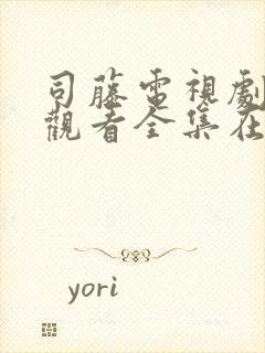 司藤电视剧免费观看全集在线观看