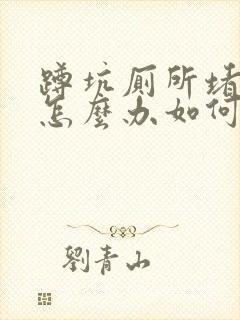 蹲坑厕所堵住了怎么办如何疏通