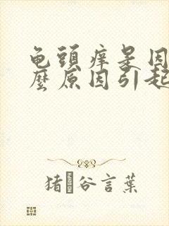 龟头痒是因为什么原因引起