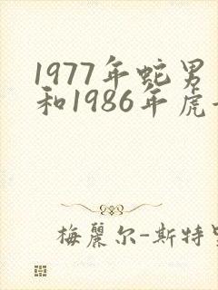 1977年蛇男和1986年虎女婚配