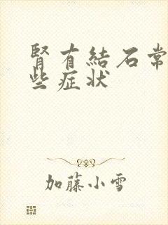 肾有结石常见哪些症状