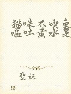 猫咪不吃东西还呕吐黄水是怎么回事