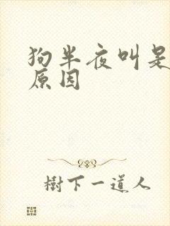 狗半夜叫是什么原因