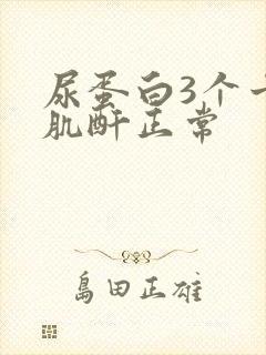 尿蛋白3个十号肌酐正常