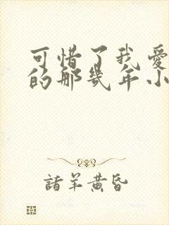 可惜了我爱着你的那几年小说免费阅读