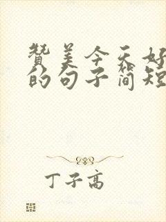 赞美今天好日子的句子简短