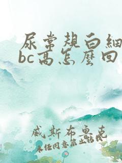 尿常规白细胞wbc高怎么回事