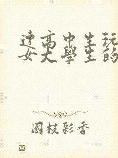 遭高中生玩弄的女大学生的小说