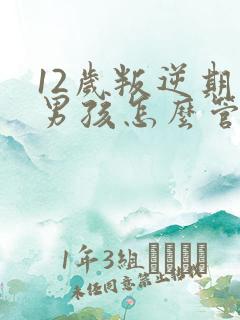 12岁叛逆期的男孩怎么管