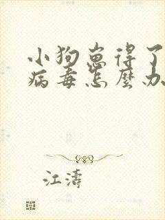 小狗崽得了细小病毒怎么办