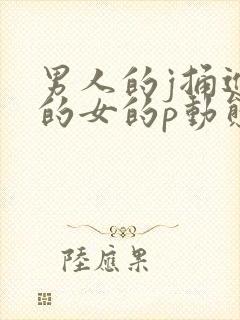 男人的j捅进女的女的p动态图