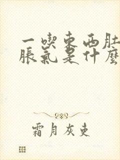 一吃东西肚子就胀气是什么原因