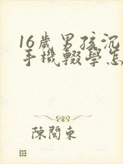 16岁男孩沉迷手机辍学怎么办