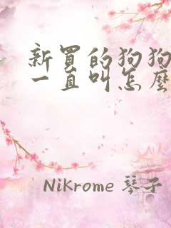 新买的狗狗晚上一直叫怎么办