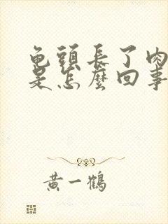 龟头长了肉疙瘩是怎么回事