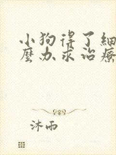 小狗得了细小怎么办求治疗方法