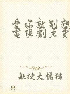 爱你就别想太多电视剧免费播放