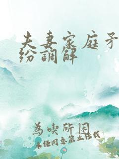 夫妻家庭矛盾纠纷调解