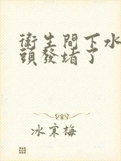 卫生间下水道被头发堵了