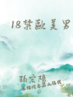 18禁欧美男男