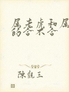 属老虎和属老鼠的合不合