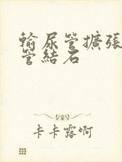 输尿管扩张输尿管结石