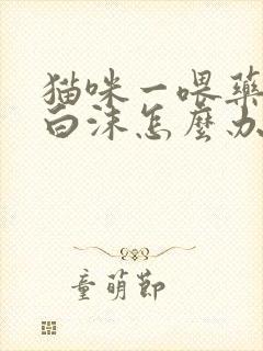 猫咪一喂药就吐白沫怎么办